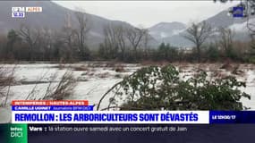 Intempéries dans les Hautes-Alpes: les arboriculteurs sont dévastés