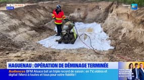 Haguenau: l’opération de déminage d’une bombe aérienne est terminée