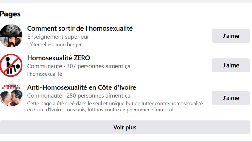 Plusieurs exemples de pages homophobes sur Facebook.
