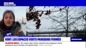 Vent: plusieurs espaces verts parisiens fermés par mesure de sécurité