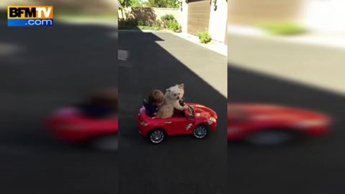 placeholder video