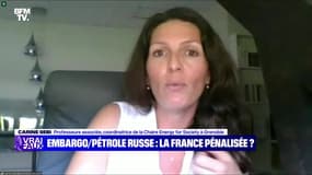 Embargo sur le pétrole russe : la France pénalisée ? - 04/06