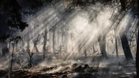 De la fumée s'élève dans les sous-bois d'une forêt lors d'un incendie de forêt sur l'île grecque de Chios, le 23 juin 2025. 
