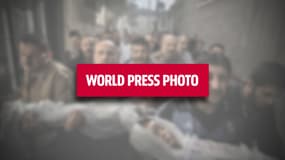 Le jury du World Press Photo Contest a rendu son verdict.