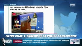 La police canadienne diffuse la conférence de presse d’une sergente… avec un filtre chat