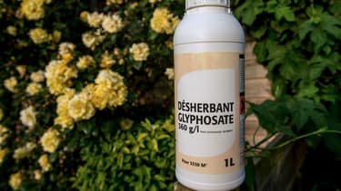 La société Shopix vendait du désherbant au glyphosate à des particuliers via des catalogues de produits de bricolage.