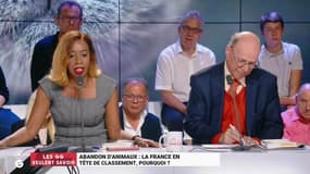 "On va acheter un animal comme on va acheter des pâtes. C’est incongru !"