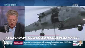 Nicolas Poincaré : Al-Baghdadi, quel rôle a joué la Delta Force ? - 28/10