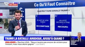 Recours ou recomptage, comment Donald Trump pourrait-il contester l'élection présidentielle ?