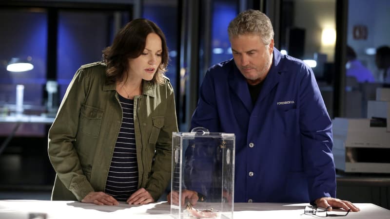 Jorja Fox et William Petersen dans la série d'origine