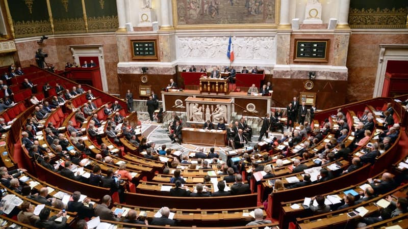 L'Assemblée nationale se prononcera mardi sur le projet de loi Macron. 