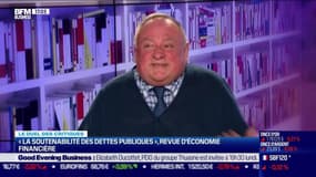 Le duel des critiques: “La soutenabilité des dettes publiques, ses mécanismes, ses enjeux, ses controverses”, de Bertrand Blancheton (Dunod) - 03/12