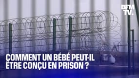 Paternité de Nordahl Lelandais: comment un bébé peut-il être conçu en prison?