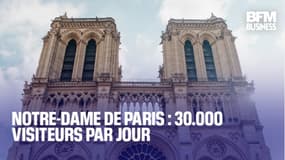  Notre-Dame de Paris : 30.000 visiteurs par jour 
