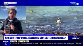 La Seyne-sur-Mer: une nouvelle réglementation jugée trop contraignante sur la "Toutou Beach"