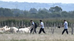 Des membres du Bureau d'Enquêtes et d'Analyses (BEA) se dirigent vers le site où un avion de tourisme s'est écrasé, le 16 août 2023 à Lavau-sur-Loire, en Loire-Atlantique. PHOTO D'ILLUSTRATION