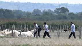 Des membres du Bureau d'Enquêtes et d'Analyses (BEA) se dirigent vers le site où un avion de tourisme s'est écrasé, le 16 août 2023 à Lavau-sur-Loire, en Loire-Atlantique. PHOTO D'ILLUSTRATION