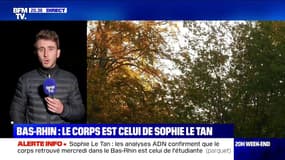 Alsace: le corps démembré retrouvé en forêt est celui de Sophie Le Tan