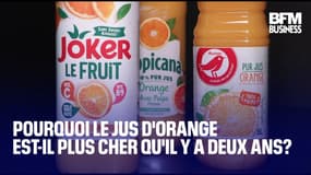 Ouragan en Floride, sécheresse au Brésil… Pourquoi le jus d'orange est-il plus cher?