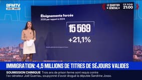 La France enregistre une hausse de 3% des titres de séjours en 2025