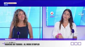 C'est la tech BB du mardi 9 septembre - Marché du travail : IA, mode d'emploi