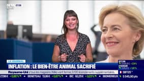 Inflation: le bien-être animal sacrifié 