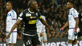 Cheick N'Doye