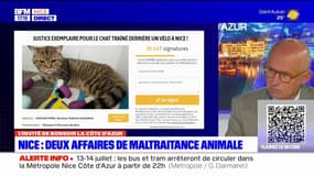 Nice: le procureur Xavier Bonhomme s'exprime sur les deux affaires de maltraitance animale