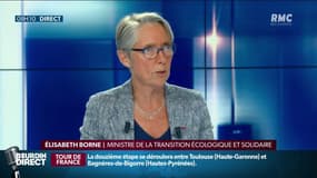 Train de fret Perpignan-Rungis: "Je ne me résous pas à que ces marchandises passent sur la route" assure Elisabeth Borne