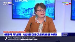 Grippe aviaire: "pas de cas en élevage" ou de "suspicion" dans le Nord