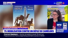 Amandine Sanvisens, co-fondatrice de l'association PAZ, dénonce le défilé de camélidés prévu ce samedi dans la capitale