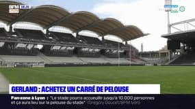 Lyon: le LOU met en vente la pelouse du stade de Gerland