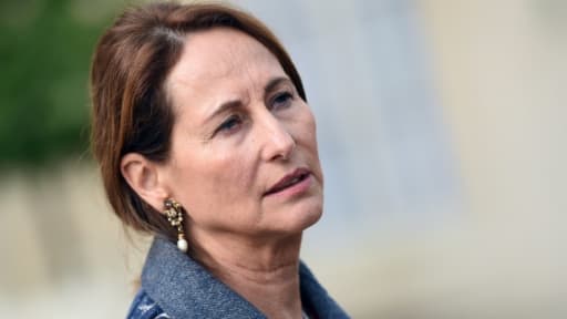 La ministre de l'Ecologie Ségolène Royal le 7 octobre 2015 à l'Elysée à Paris