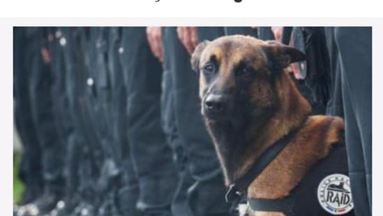 - -