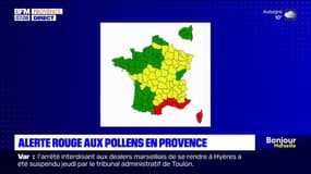 Bouches-du-Rhône: alerte rouge aux pollens