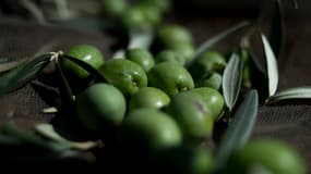 Des olives vertes à Antequera, en Espagne, le 9 octobre 2019. (Photo d'illustration)