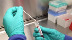 Un écouvillon qui a été testé positif à la variole du singe dans un laboratoire.