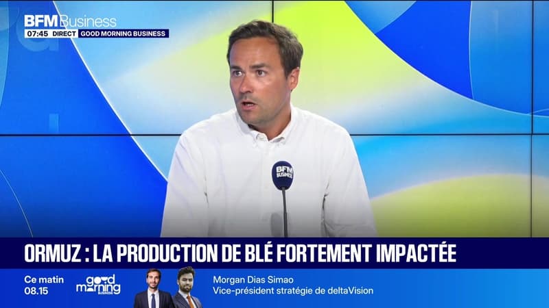 Le Grand entretien : Canicule, comment se porte le marché des récoltes ? - 05/08
