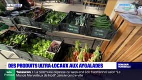 Marseille: des produits ultra-locaux aux Aygalades
