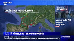 Colère des agriculteurs: l'autoroute A9 est-elle bloquée? BFMTV répond à vos questions