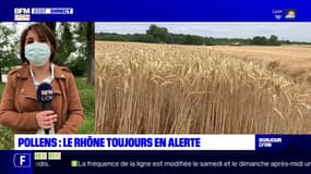 Pollens: le Rhône toujours en alerte maximale