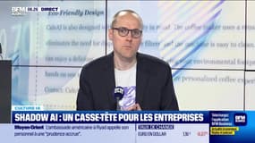 Culture IA : Shadow AI, un casse-tête pour les entreprises, par Anthony Morel - 15/01