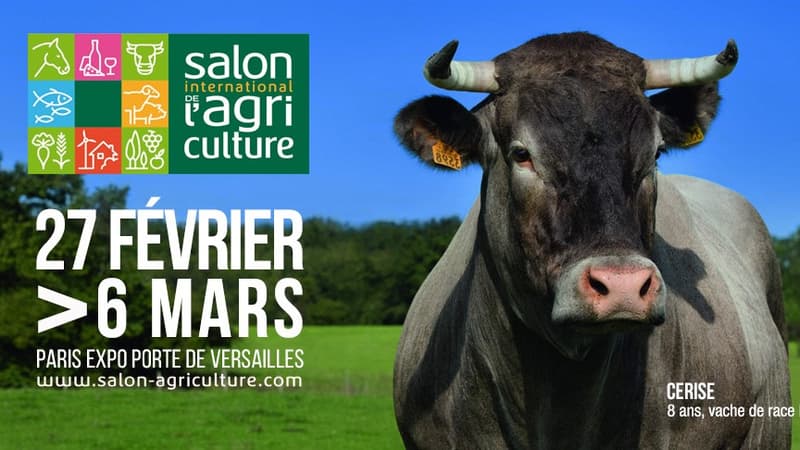 Le salon de l'Agriculture, du 27 février au 6 mars, à Paris