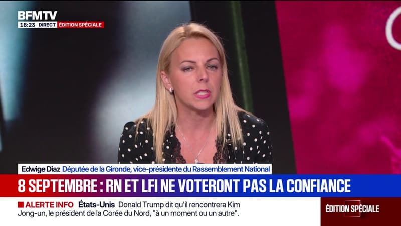 Vote de confiance du 8 septembre: 