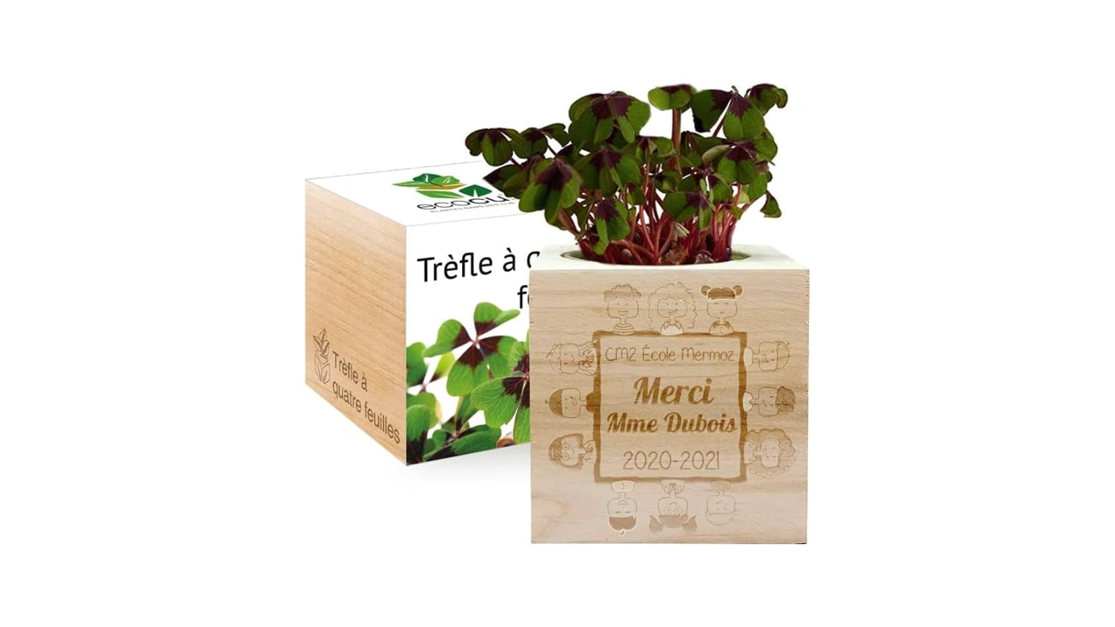 Idée cadeau maitresse - Ecocube