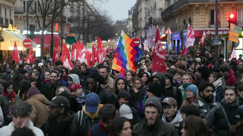 Plusieurs centaines de personnes mobilisées contre la loi immigration le 22 décembre à Paris.