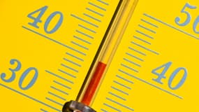 Un thermomètre indique 40 degrés (illustration)