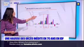 Île-de-France: hausse inédite des décès en 2020, +19% rapport à 2019 
