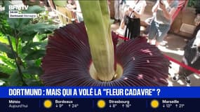 Le break du 17 novembre
