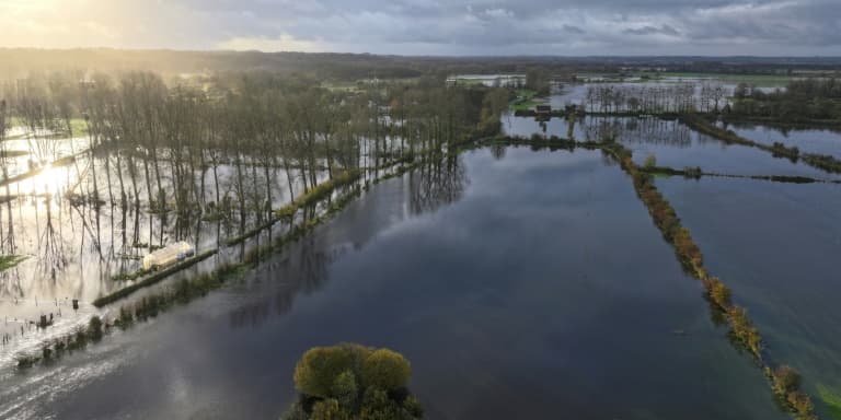 Des champs inondés à La Calotterie, dans le Pas-de-Calais, le 10 novembre 2023